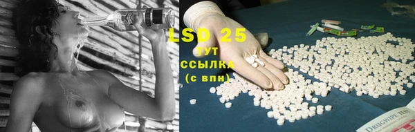 PSILOCYBIN Майский