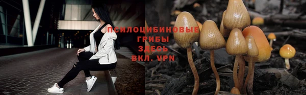 стафф Магадан