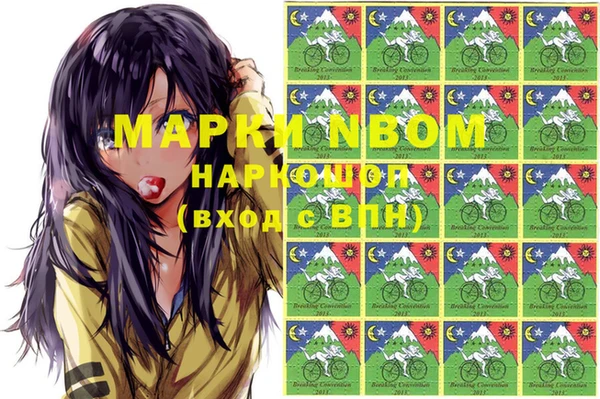 стафф Магадан
