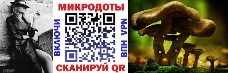 Галлюциногенные грибы GOLDEN TEACHER  хочу наркоту  Фокино 