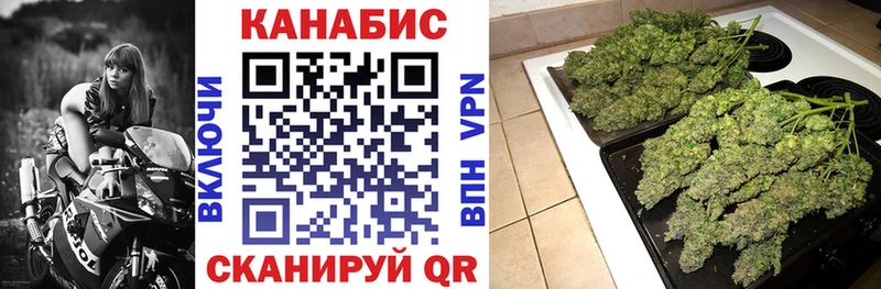 kraken как войти  Фокино  Конопля сатива 